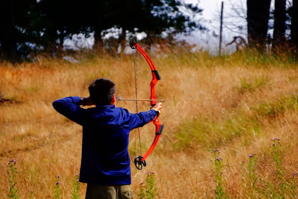 Choosing the Best Martin Archery Recurve Bow depends on your needs.  