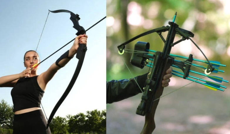 A Picture of Peoples Holding Recurve Bow and Crossbow