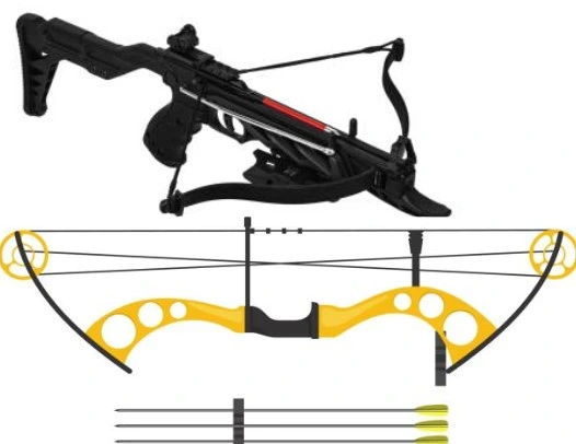 a picture of recurve bow and crossbow