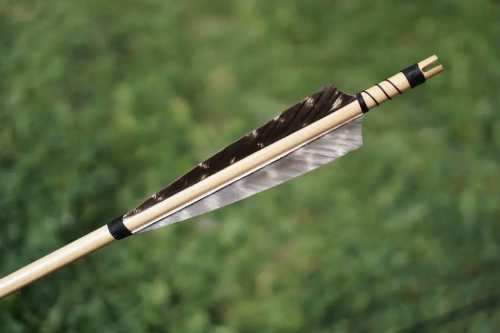 Best Feathered Arrows for Recurve Bow